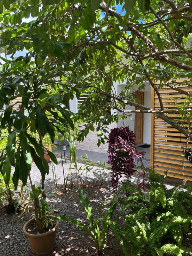Pare Lodge Tahiti Pirae Exteriér fotografie